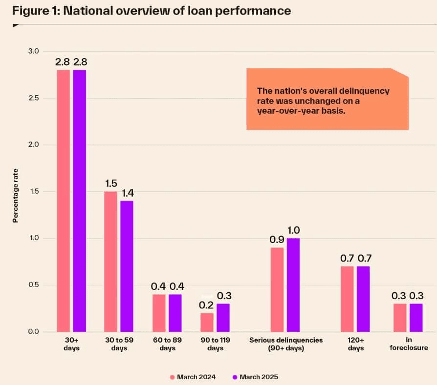 National Overview Of Loan Performance