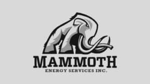Mammoth Energy Services Earnings