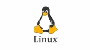 Linux Statistics