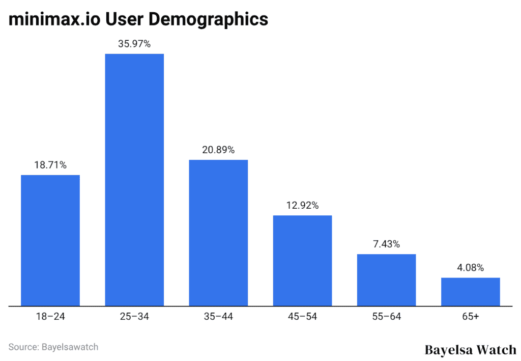 minimax.io User Demographics