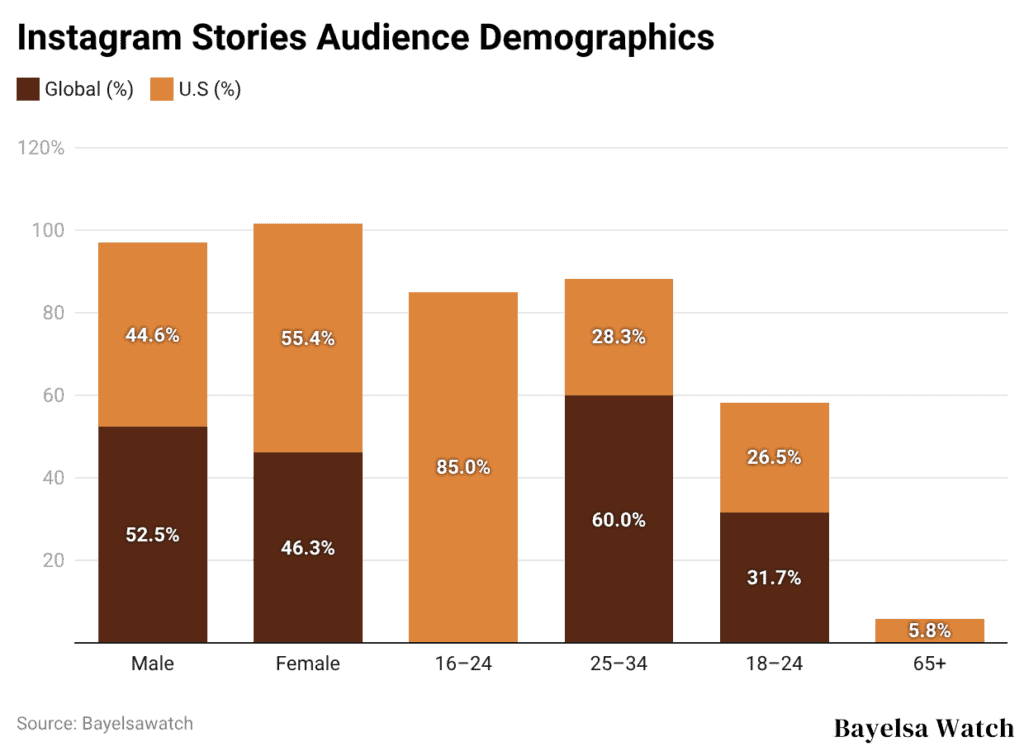 Instagram Stories Audience Demographics