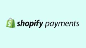 Shopify Payment Statistics