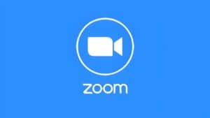 Zoom Statistics