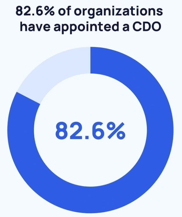 Data Analytics Chief Data Officer
